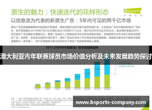 澳大利亚青年联赛球员市场价值分析及未来发展趋势探讨