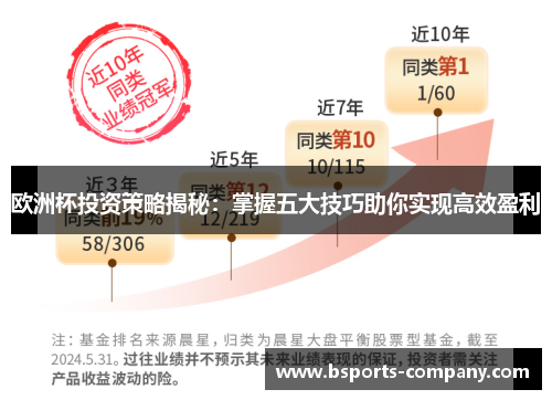 欧洲杯投资策略揭秘：掌握五大技巧助你实现高效盈利