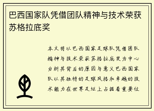 巴西国家队凭借团队精神与技术荣获苏格拉底奖